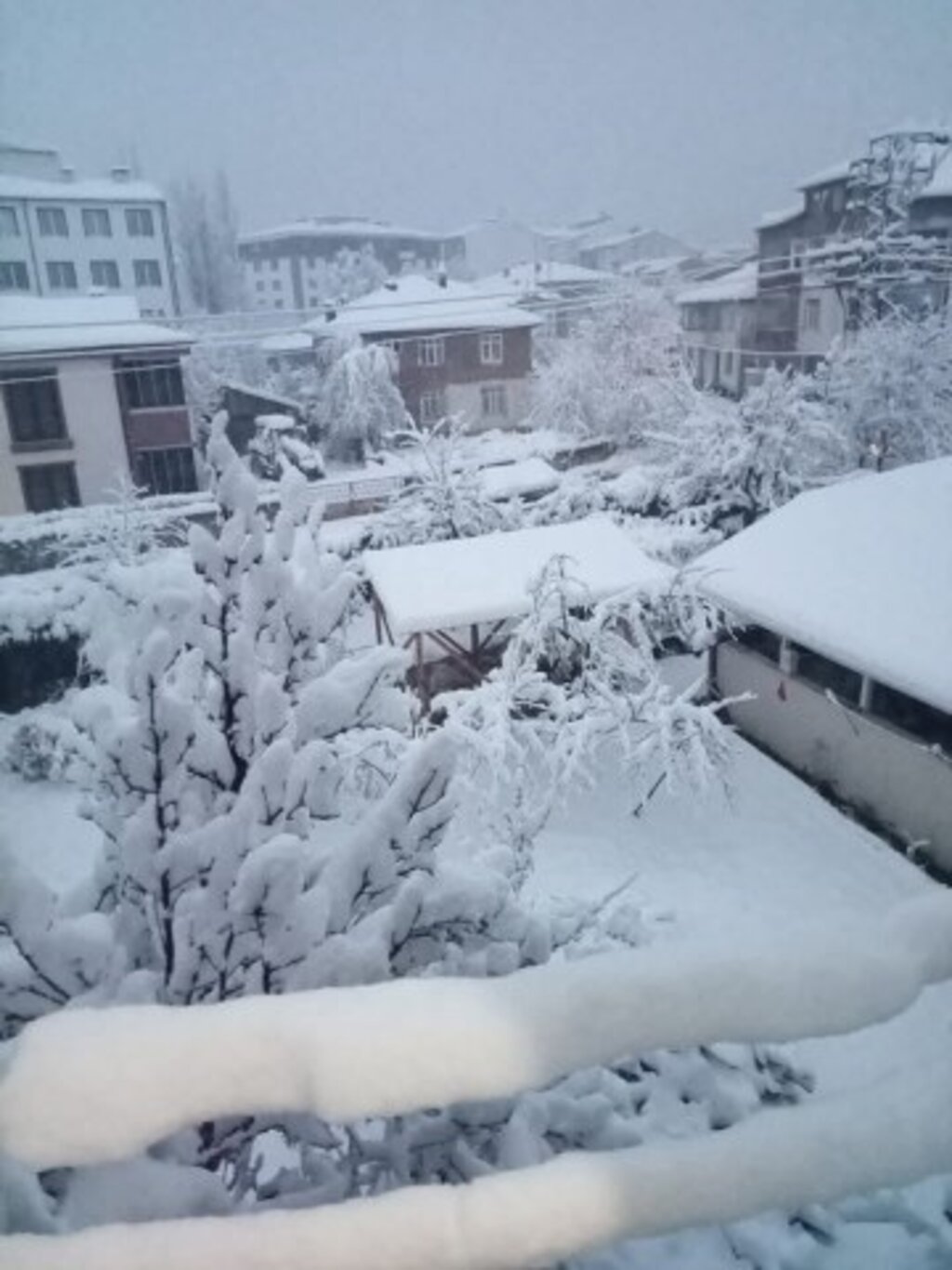 Samsun'da Ladik ilçesine kar yağdı her yer beyaza büründü