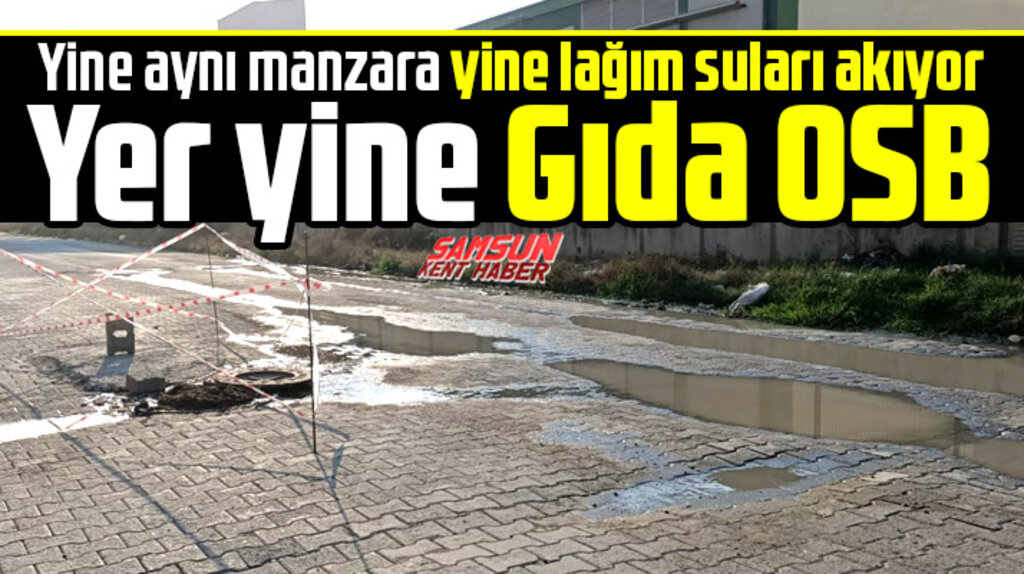 Samsun Gıda Organize Sanayi Bölgesinde yine lağım suları akıyor