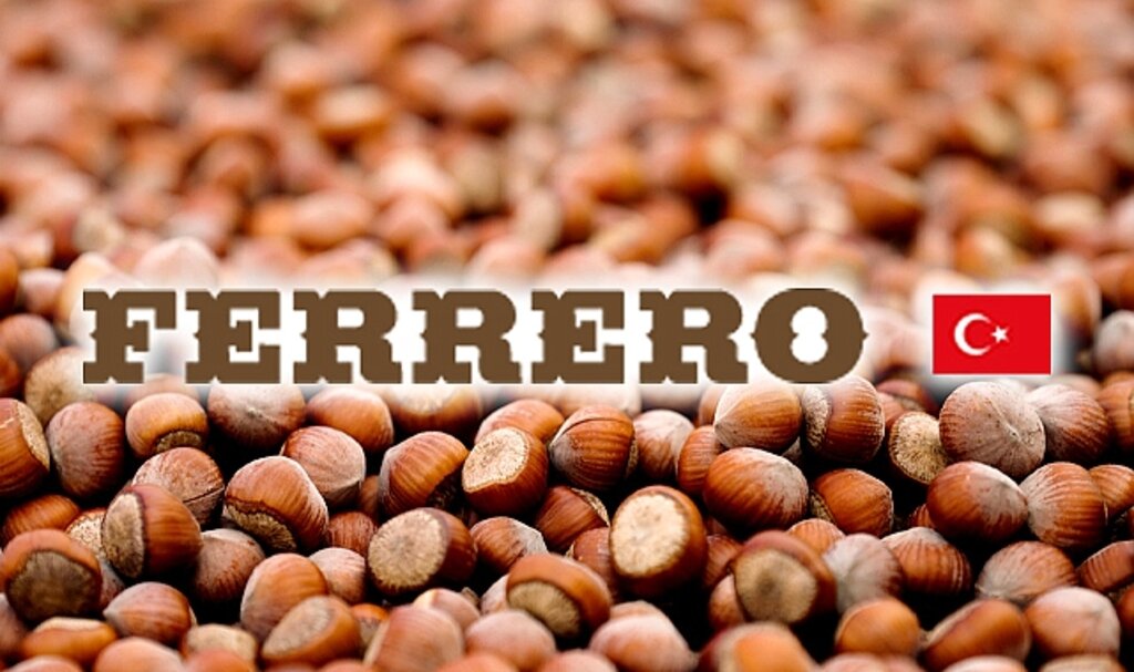 Ferrero 2024-2026 dönemi için fındıkta Eylem Planı'nı açıkladı