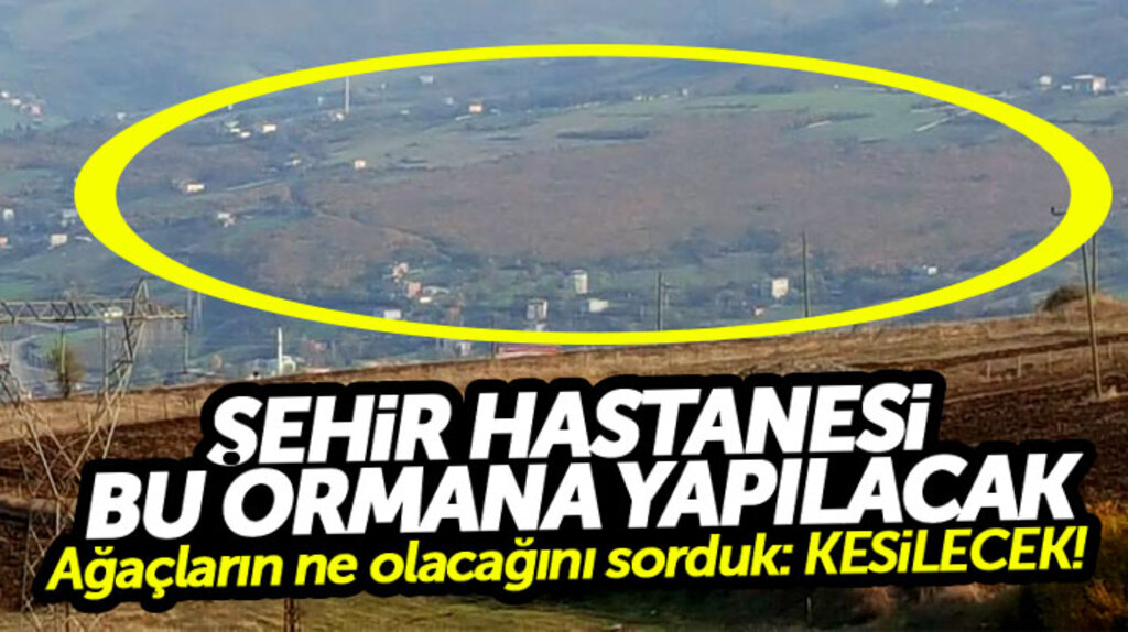 Samsun Şehir Hastanesinin yapılacağı ormanlık alandaki ağaçlar kesilecek