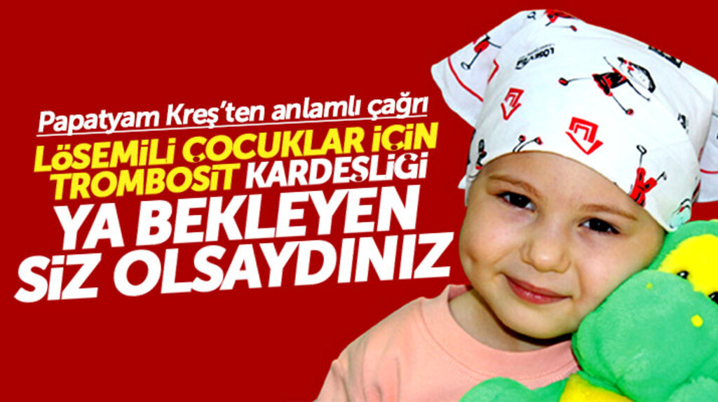 Samsun'da Papatyam Kreş lösemili çocuklar için trombosit bağışı semineri düzenledi