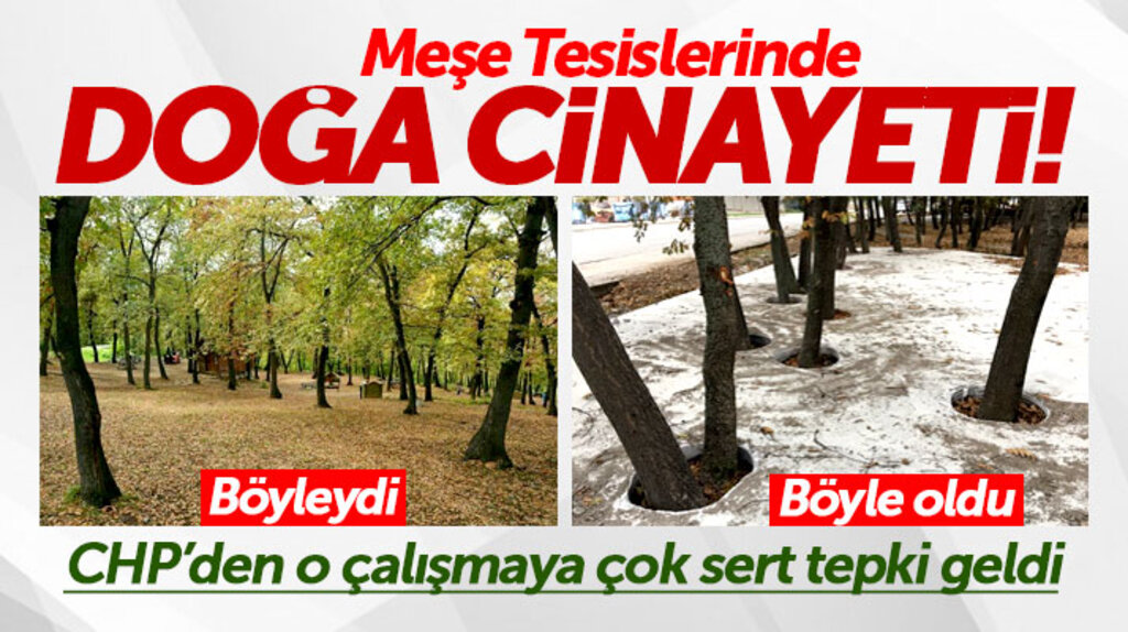 Samsun CHP'den tepki: Meşe Tesislerinde doğa cinayeti yapılıyor