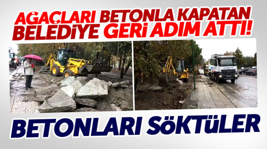 Samsun'da Canik Meşe Tesislerinde ağaçların çevresine dökülen betonlar söküldü 