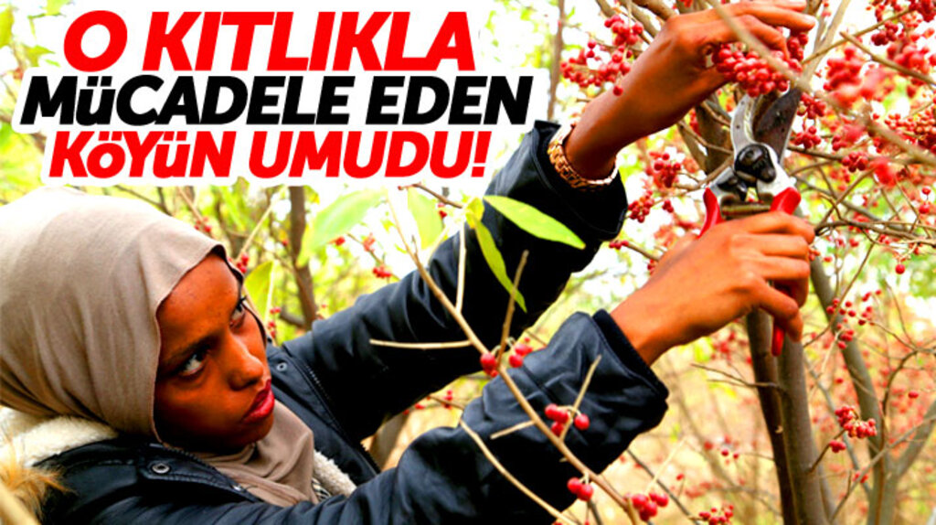 Samsun'da Ziraat Mühendisliği okuyan Mohamed, Somali'deki köyünün umudu oldu