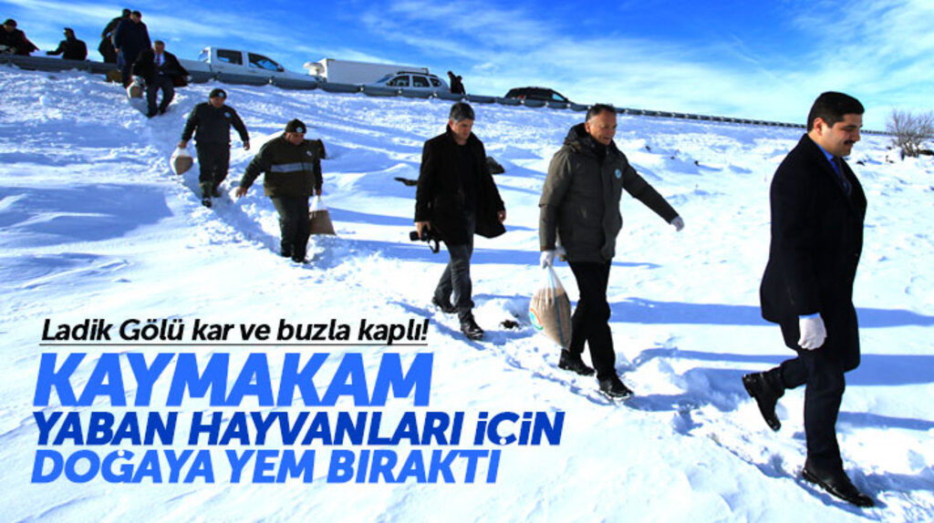 Samsun Ladik ilçesinde yaban hayvanları için doğaya yem bırakıldı