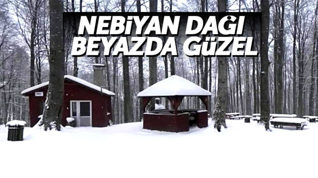 Samsun'un 19 Mayıs ilçesinde Nebiyan Dağı, yağan kar ile beyaza büründü
