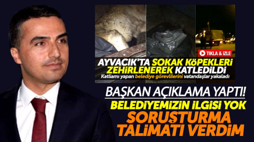 Samsun'un Ayvacık Belediye Başkanı Kalaycı köpeklerin zehirlenmesi ile ilgili açıklama yaptı