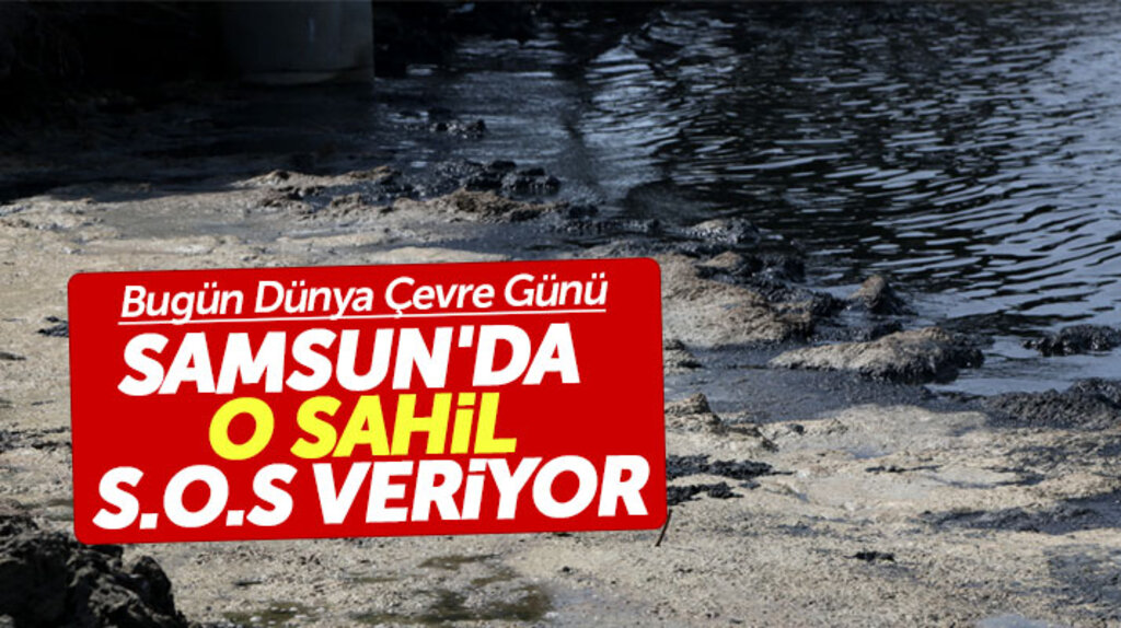 Samsun'da o sahilde yaşanan çevre kirliliği salgın hastalık alarmı veriyor