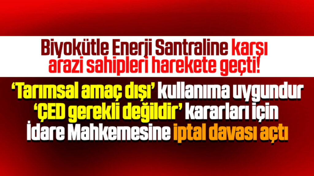Samsun'da Çarşamba'ya yapılacak Biyokütle Enerji Santraline karşı dava açıldı