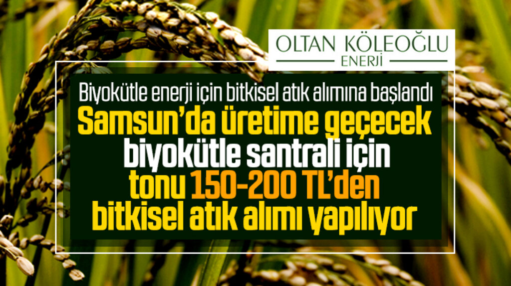 Oltan Köleoğlu Enerji Samsun santrali için tonu 150-200 TL'den bitkisel atık alımına başladı