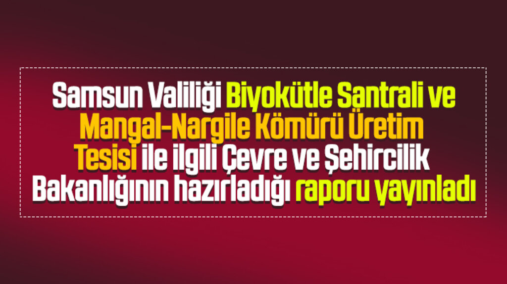 Samsun Valiliği biyokütle santrali ile ilgili Çevre Bakanlığının raporunu yayınladı