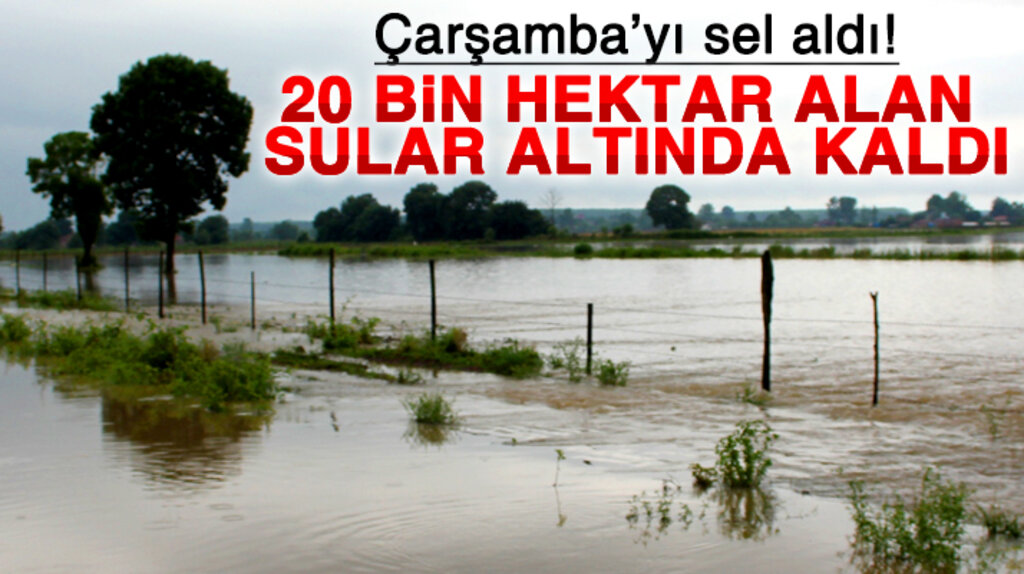 Samsun'un Çarşamba ilçesinde 20 bin hektarlık tarım arazisi sular altında kaldı