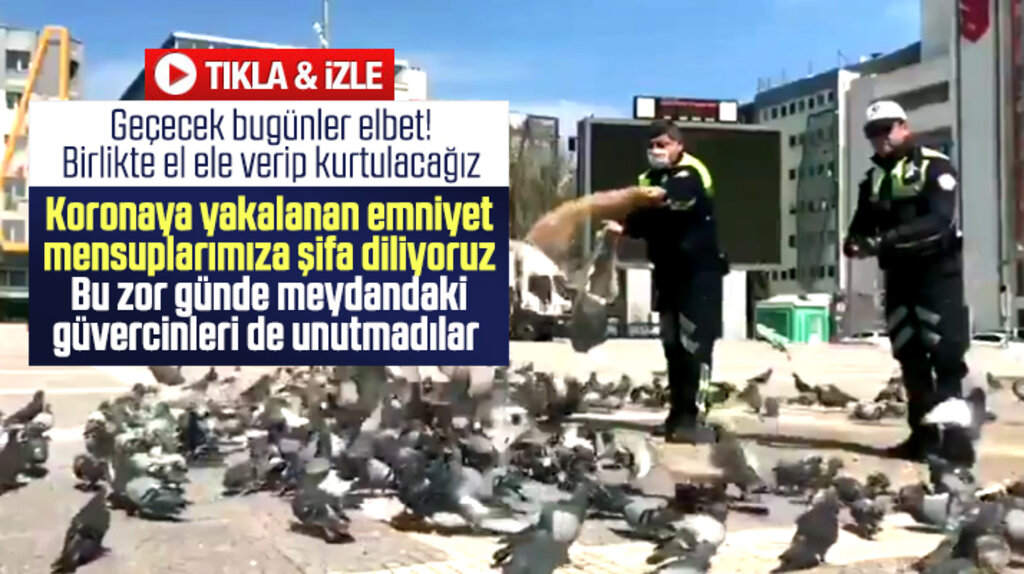Samsun polisi sokağa çıkma yasağı nedeniyle aç kalan güvercinlere yem attı