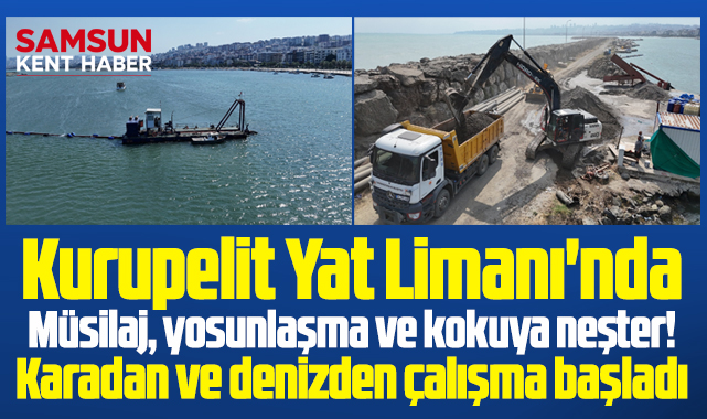 Kurupelit Yat Limanı'nda müsilaj, yosunlaşma ve kokuya neşter!